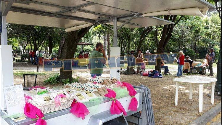 3η Οικογιορτή Κατερίνης 2016