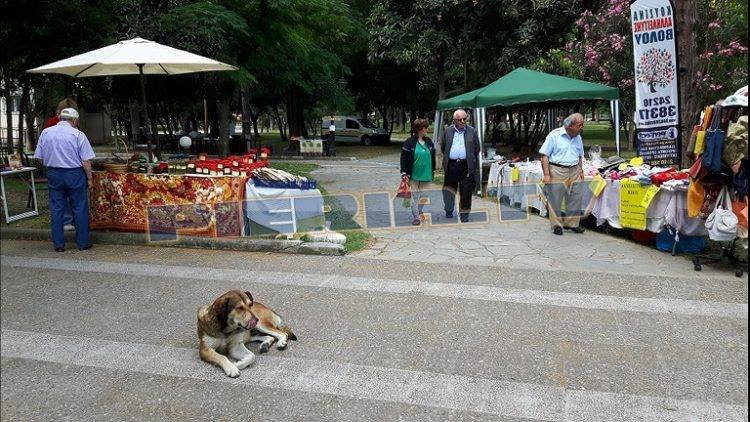 3η Οικογιορτή Κατερίνης 2016