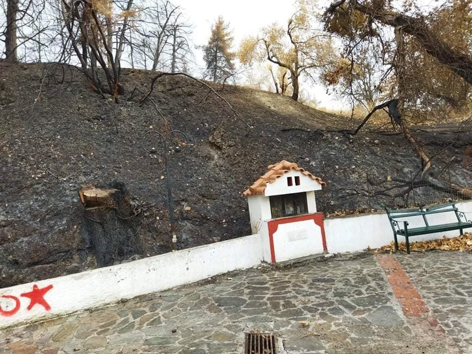 Για τους πυρόπληκτους συνανθρώπους μας στη Δημοτική Ενότητα Νηλέως Εύβοιας