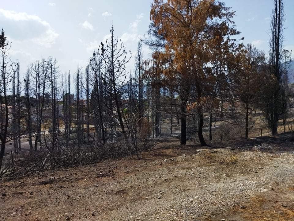 Για τους πυρόπληκτους συνανθρώπους μας στη Δημοτική Ενότητα Νηλέως Εύβοιας