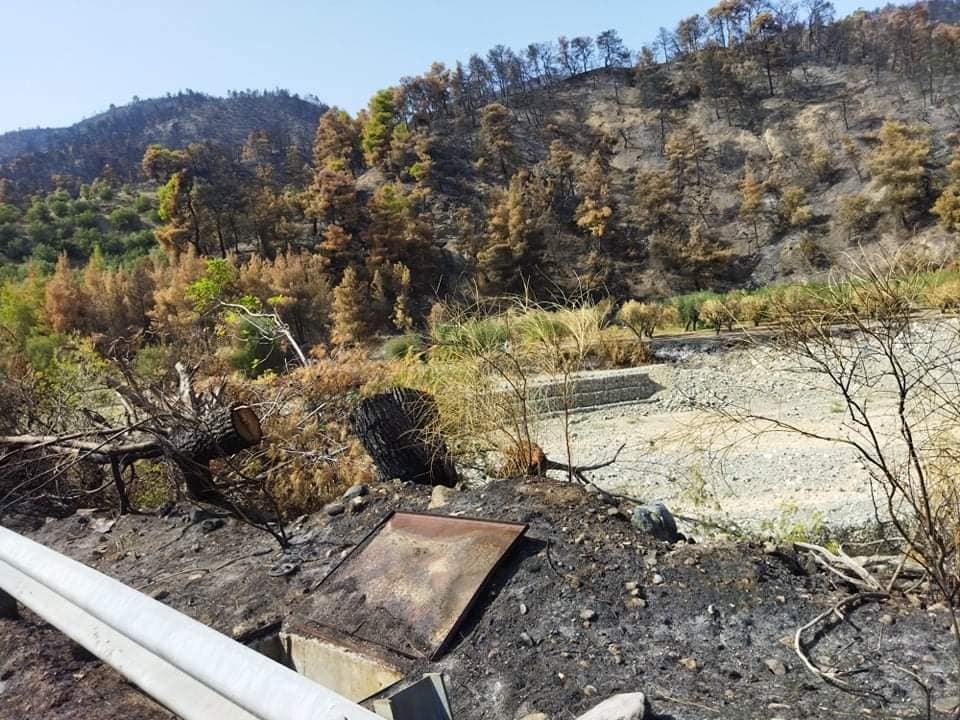 Για τους πυρόπληκτους συνανθρώπους μας στη Δημοτική Ενότητα Νηλέως Εύβοιας