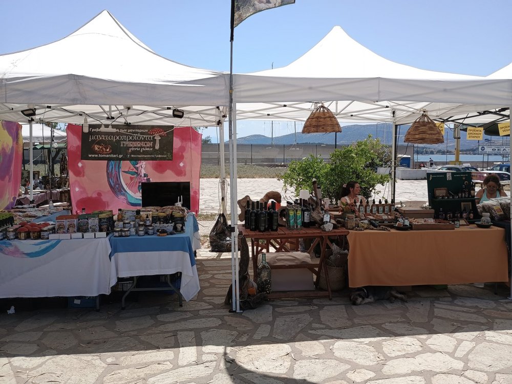 Η Κουζίνα Αλληλεγγύης Βόλου συμμετείχε στην Ανοιξιάτικη Οικολογική Γιορτή που έγινε στο Βόλο