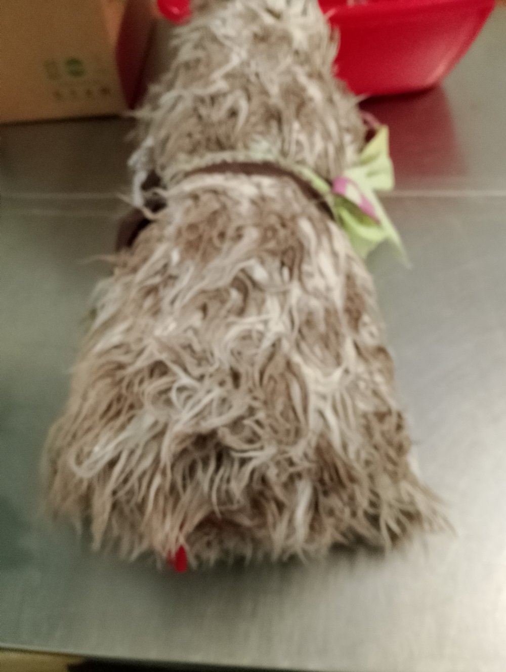 Χαρίστηκαν από την Κουζίνα Αλληλεγγύης Βόλου 