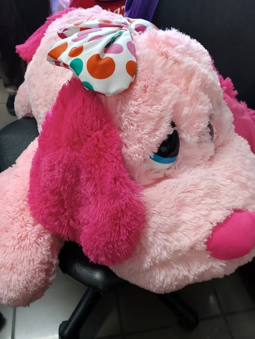 Χαρίστηκαν από την Κουζίνα Αλληλεγγύης Βόλου 